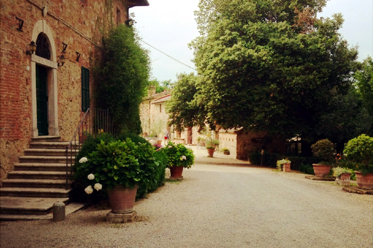 Fattoria del Colle	